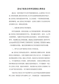 2018县电子政务办科学发展观心得体会.docx