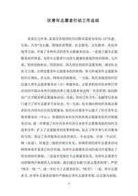 2018区青年志愿者行动工作总结.docx