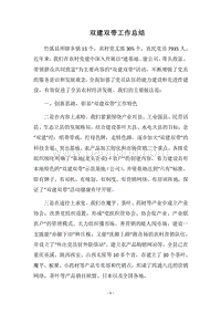 2018双建双带工作总结.docx