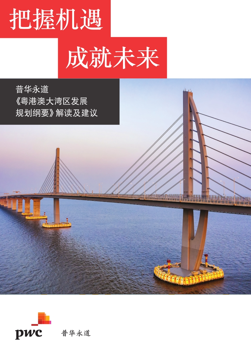 《粤港澳大湾区发展规划纲要》解读及建议.pdf_第1页