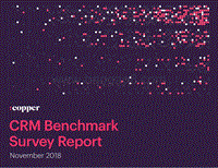 2018年客户关系管理（CRM）调查报告.pdf