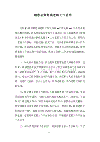 2018响水县黄圩镇老龄工作总结.docx