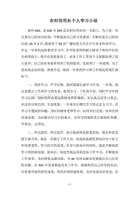 2018农村信用社个人学习小结.docx