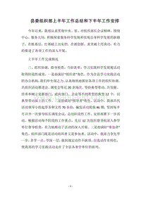 2018县委组织部上半年工作总结和下半年工作安排.docx