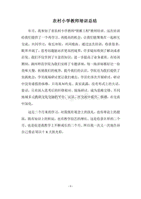 2018农村小学教师培训总结.docx