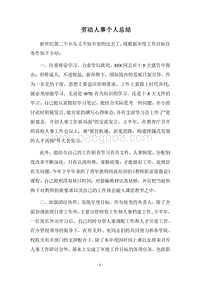 2018劳动人事个人总结.docx