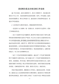 2018县法制办县志办党支部工作总结.docx