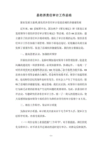 2018县经济责任审计工作总结.docx