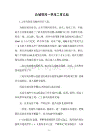 2018县城管局一季度工作总结.docx
