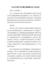 2018在XX市青年企业孵化器揭牌仪式上的讲话.docx