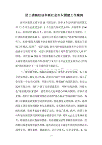 2018团工委新经济和新社会组织团建工作案例.docx
