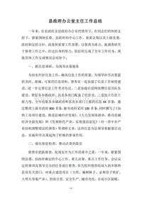 2018县政府办公室主任工作总结.docx