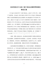 2018县农牧局关于全县三级干部会议精神贯彻落实情况汇报.docx