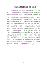 2018司法局党政领导班子自我鉴定总结.docx