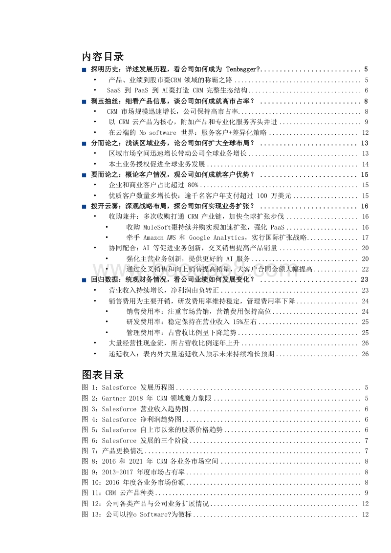 2019年Salesforce云计算行业分析报告.doc_第2页