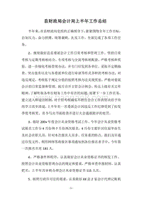 2018县财政局会计局上半年工作总结.docx