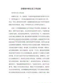 2018分校初中班主任工作总结.docx