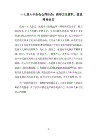 2018十七届六中全会心得体会：高举文化旗帜，建设精神家园.docx