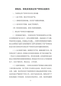 2018国税局：国税系统固定资产管理自查报告.docx