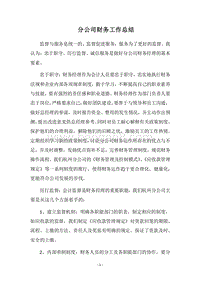 2018分公司财务工作总结.docx