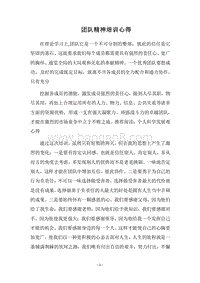 2018团队精神培训心得.docx
