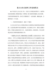 2018县人大办公室年工作总结范文.docx