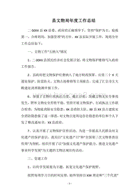 2018县文物局年度工作总结.docx