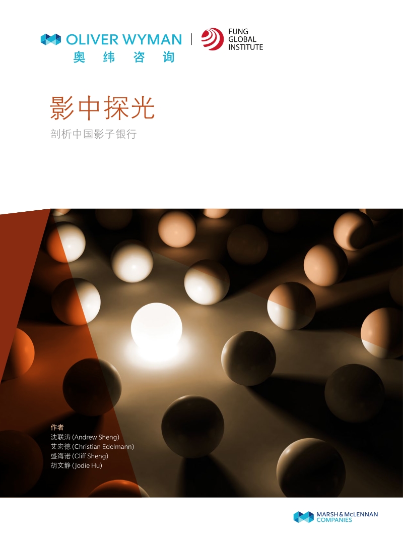影中探光：剖析中国影子银行.pdf_第1页