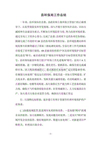 2018县环保局工作总结.docx
