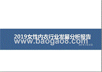 2019女性内衣行业发展分析报告.pptx