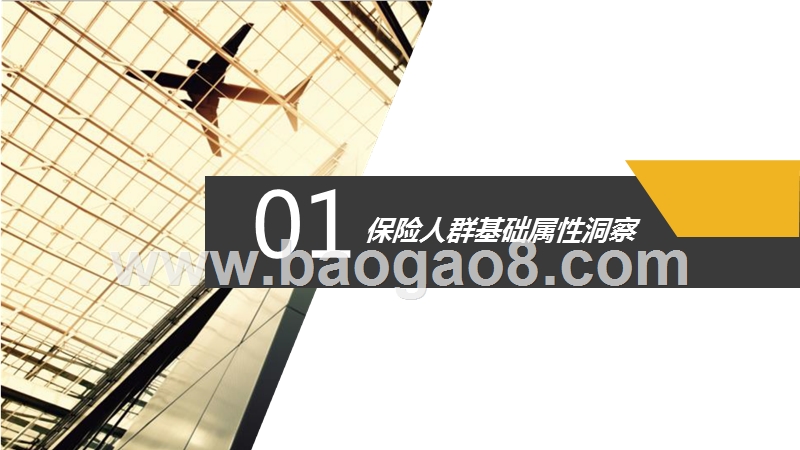 2017-2018保险行业用户数据研究报告.pptx_第3页