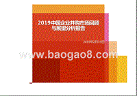 2019中国企业并购市场回顾与展望分析报告.pptx