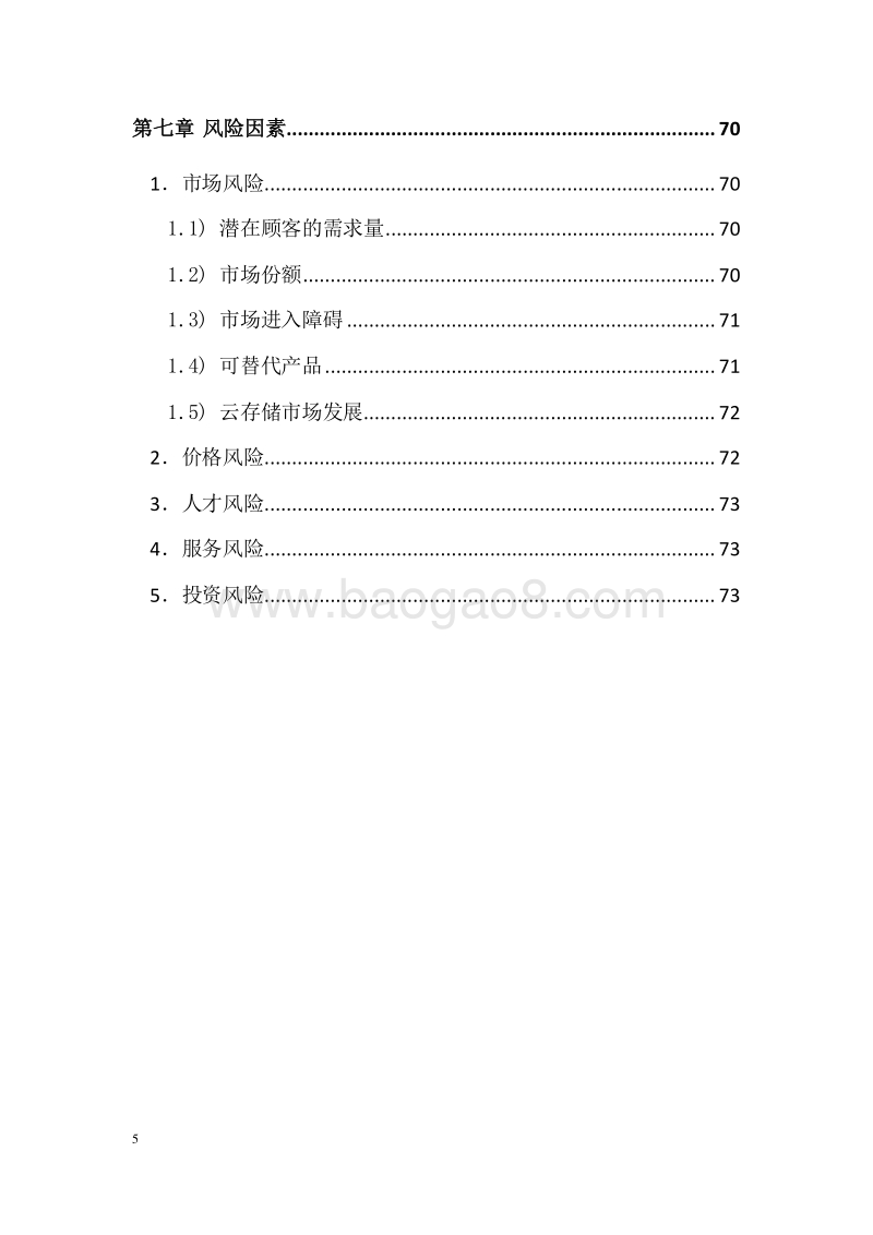 XX科技发展有限公司项目融资商业计划书.doc_第5页