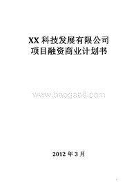 XX科技发展有限公司项目融资商业计划书.doc