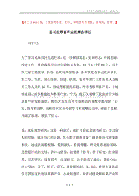县长在草畜产业观摩会讲话.docx