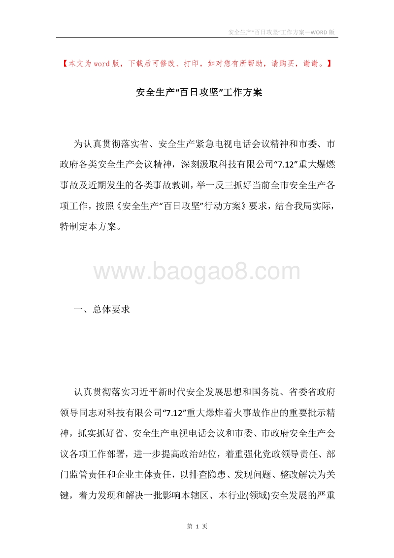 安全生产“百日攻坚”工作方案.docx_第1页