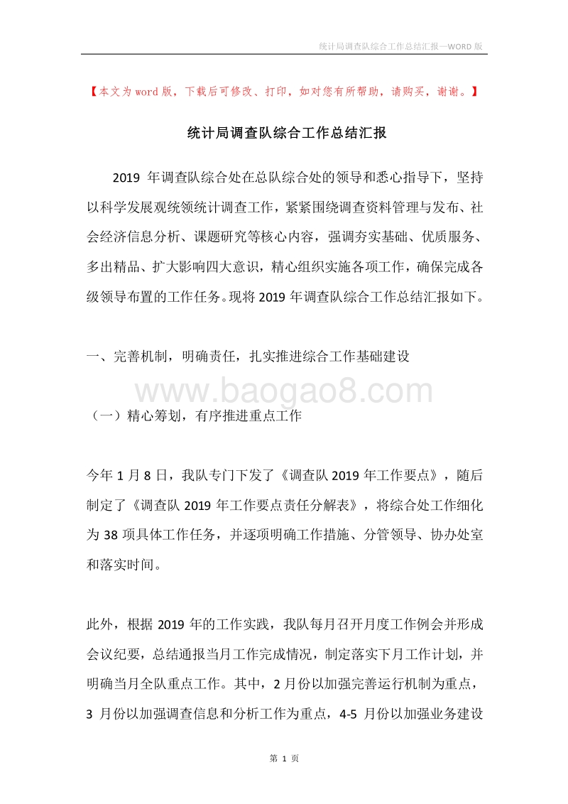 统计局调查队综合工作总结汇报.docx_第1页