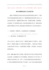 统计局调查队综合工作总结汇报.docx