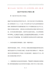2019年司法行政工作意见2篇.docx