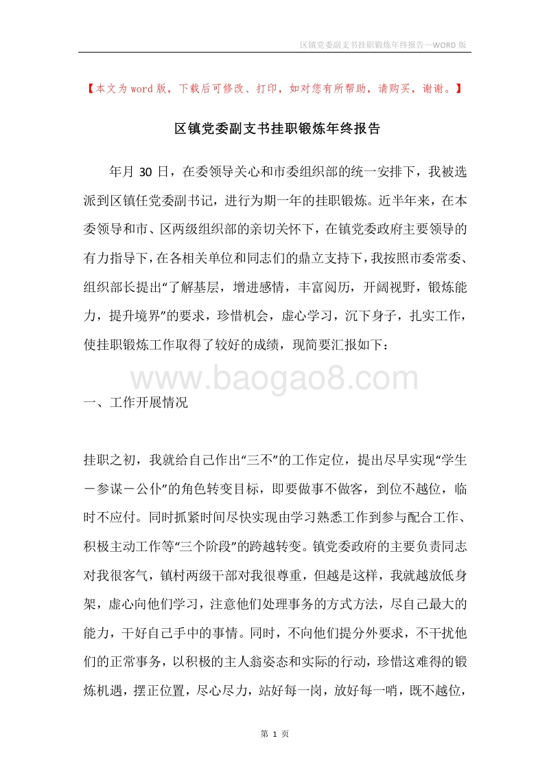 区镇党委副支书挂职锻炼年终报告.docx_第1页