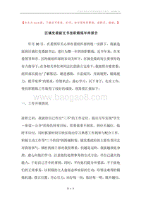区镇党委副支书挂职锻炼年终报告.docx
