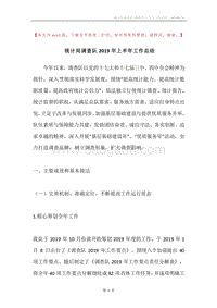 统计局调查队2019年上半年工作总结.docx