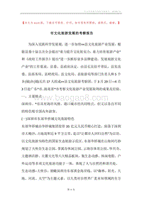 市文化旅游发展的考察报告.docx
