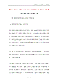 2019年质监局工作报告6篇.docx
