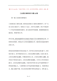 工业园区调研报告专题12篇.docx