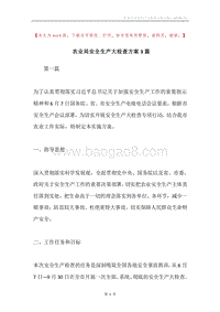 农业局安全生产大检查方案3篇.docx