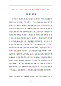 民政局工作年报.docx