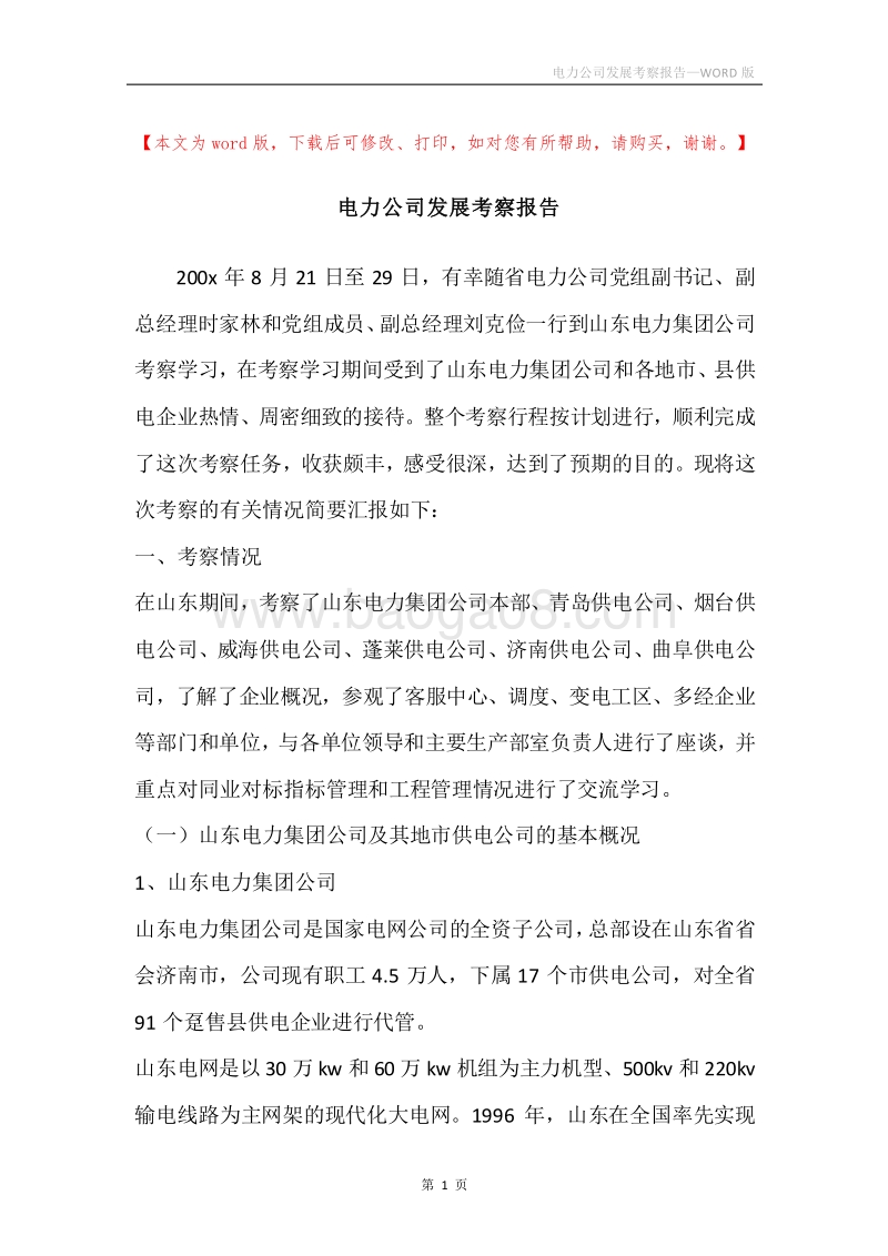 电力公司发展考察报告.docx_第1页