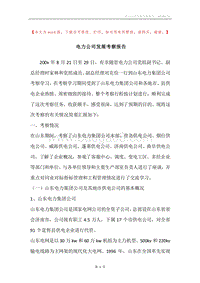 电力公司发展考察报告.docx