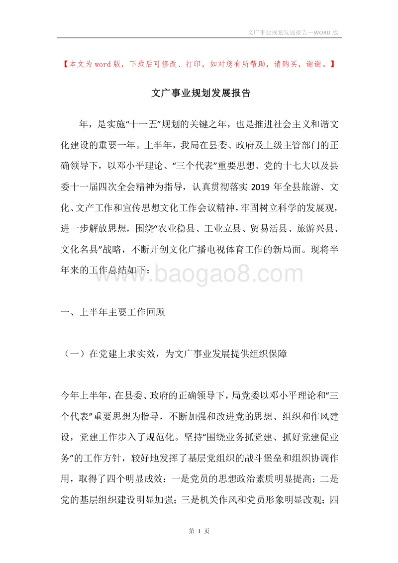 文广事业规划发展报告.docx_第1页